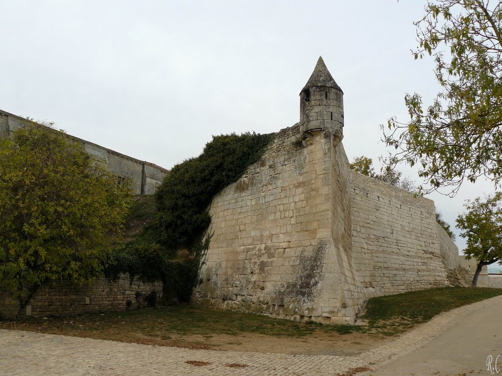 Maillezais (Abbaye) by Roland Courtin