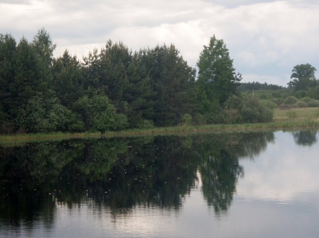 Klepikovsky District, Ryazan Oblast, Russia by сережа