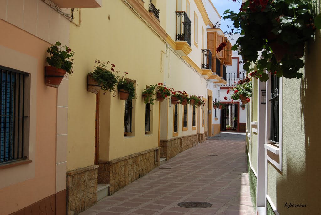 Calle en ROTA LEP by Luis Pereira