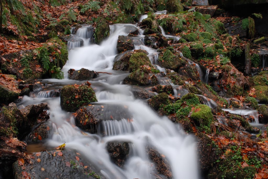 Hardcastle Crags by Simon Garvey