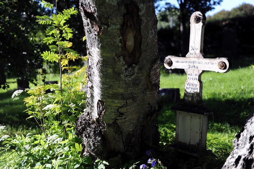 Trondenes cementery by bReo