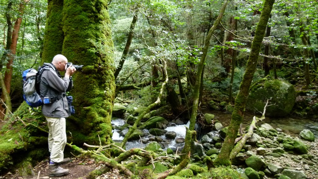 Yakushima, Kumage District, Kagoshima Prefecture, Japan by TerryHD2