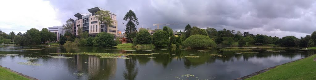 UQ Lake (The University of Queensland) by andri.setiawan