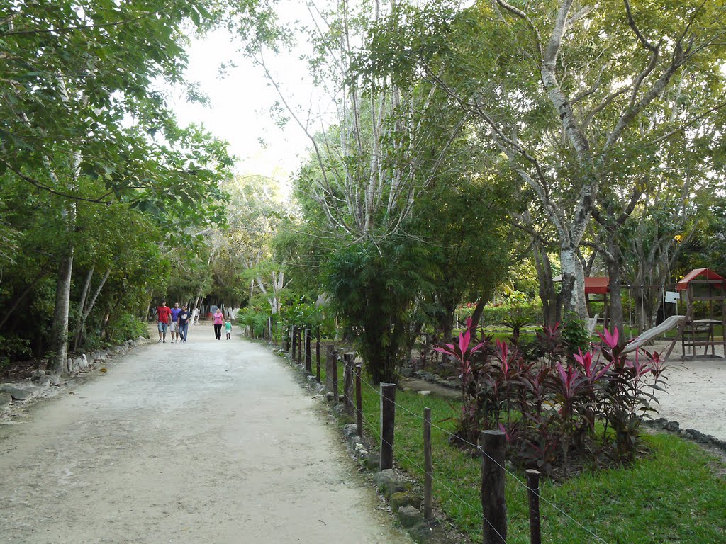 Parque Kabah. Cancún. México. by Antonio Cristerna