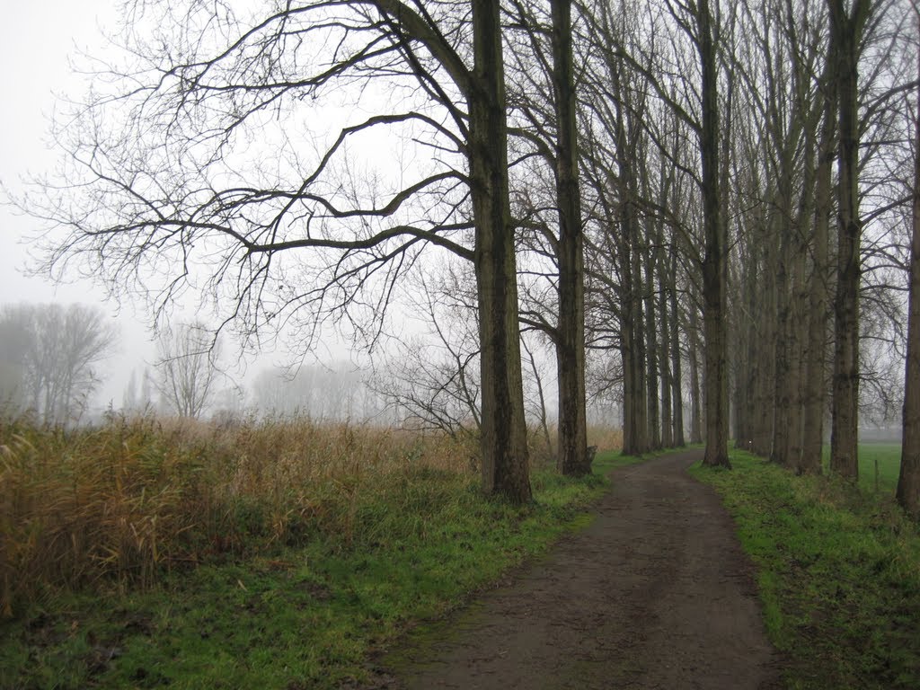 Dreef langs Moervaart richting Spanjeveerstraat by ilium