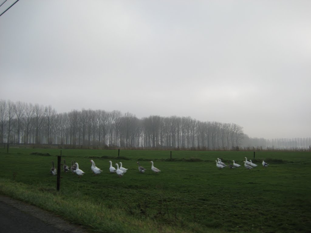 Valleigronden langs de Zuidlede t.h.v. Mendonkdorp by ilium