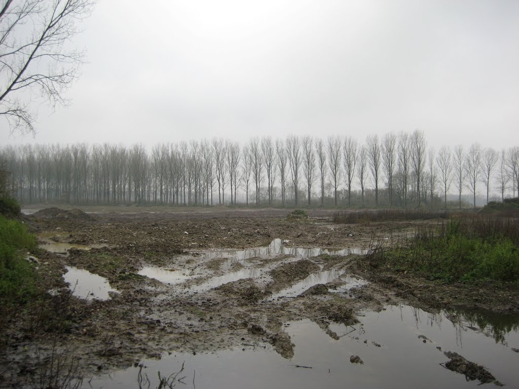 Voormalige gronden van de Suikerfabriek langs de Terwesttragel te Moerbeke by ilium