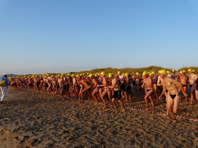 Travesia Internacional Bahia de Cullera by clubnataciocullera