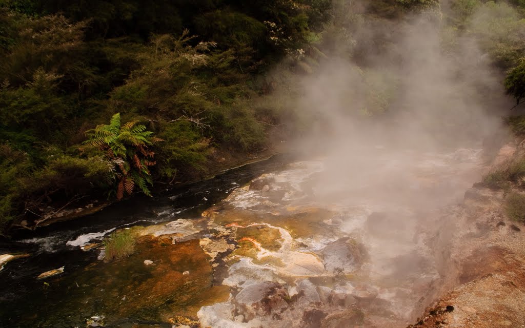 Waimangu Thermals 27 (hot springs of mother earth) by Cliff Jennings