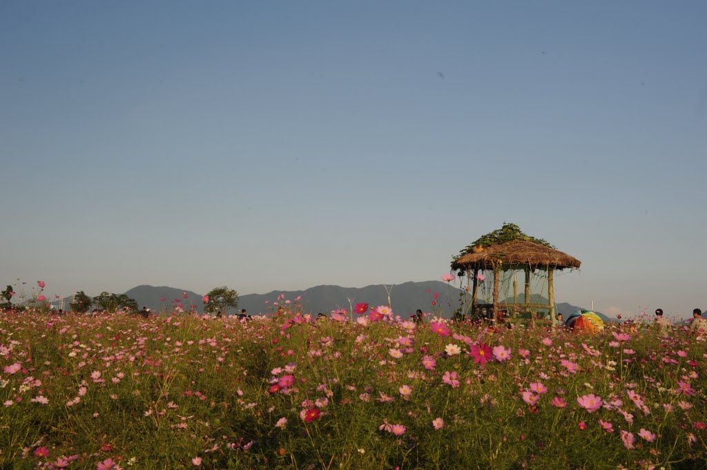 Terrace land on the Hangang of Guri-si - 5 by 윤원진