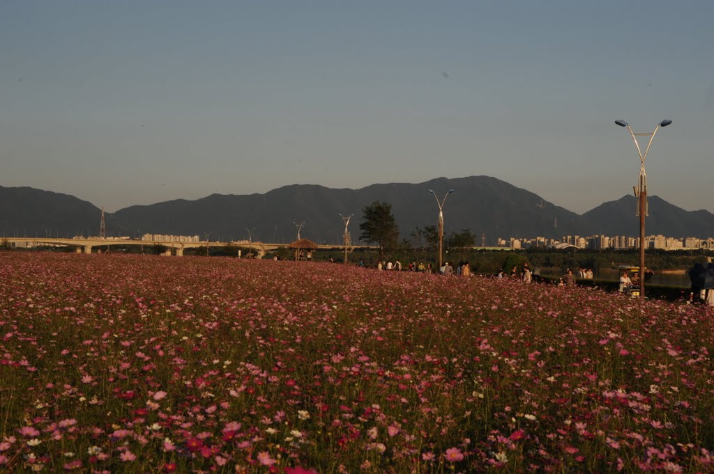 Terrace land on the Hangang of Guri-si - 8 by 윤원진