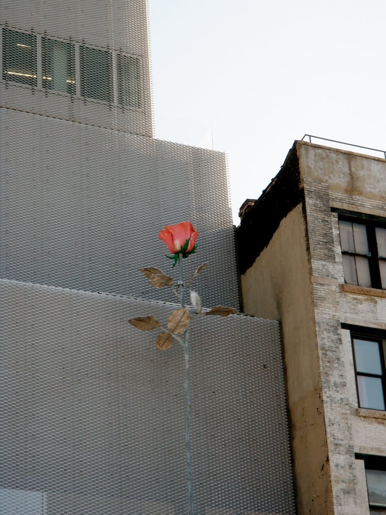 Giant rose on the side of the New Museum, 235 Bowery, Manhattan by cmt343