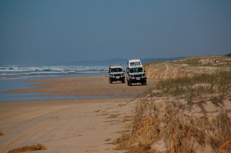 Fraser Island by Dr Specht