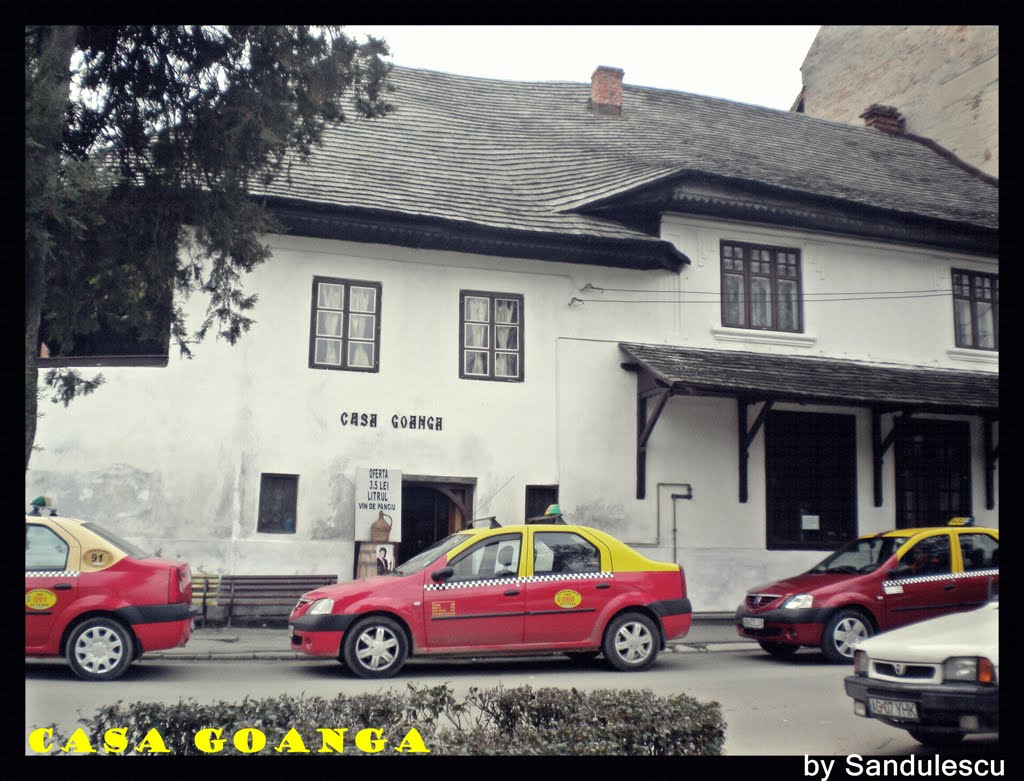 Casa Goanga - Curtea de Arges by Alin Sandulescu & Don Bebino