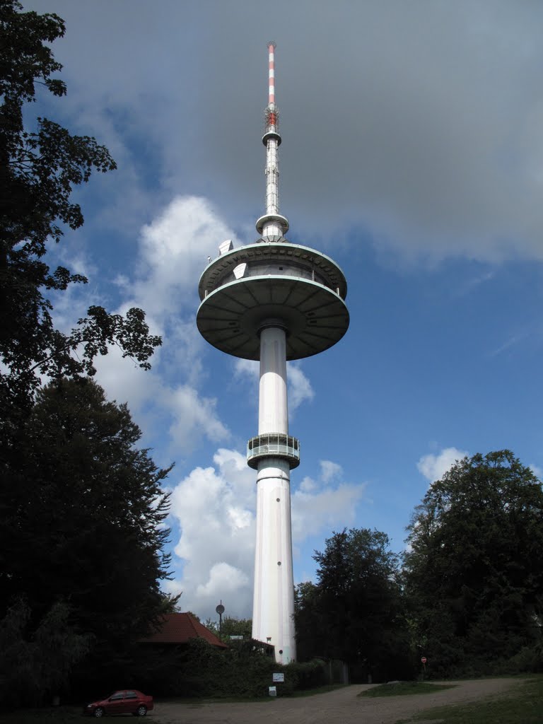 BUNGSBERG: Communications Tower by Andra MB