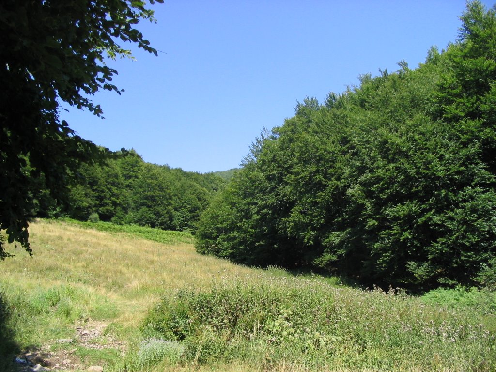 LOCAL ROAD NEAR PISSODENTDRI - 2 by calmsea