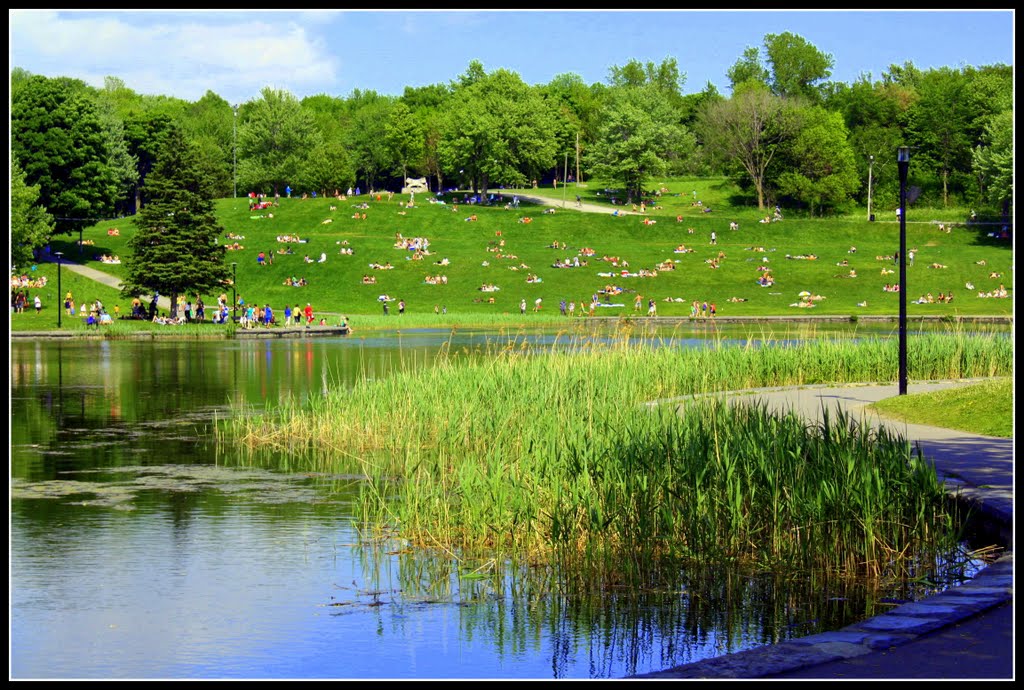 Lac de castors Montreal by diannemd