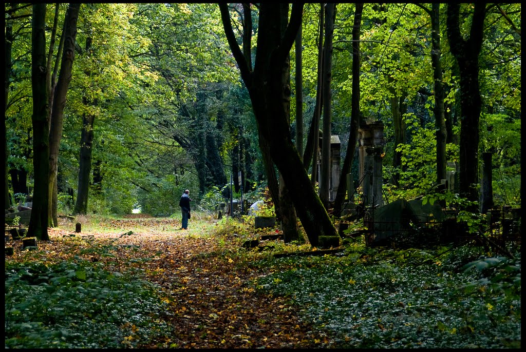 Łódź-Cmentarz Żydowski-gb-17 by Millotaurus Pierwszy