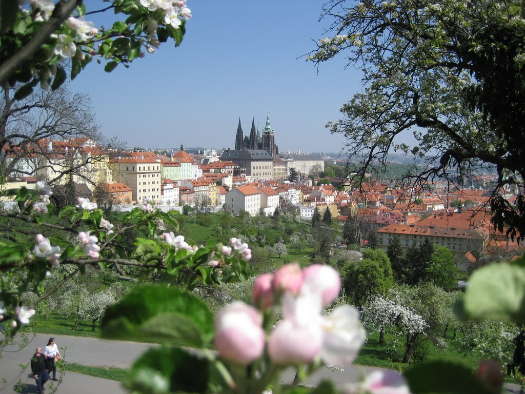 Burg von Prag by goldi75