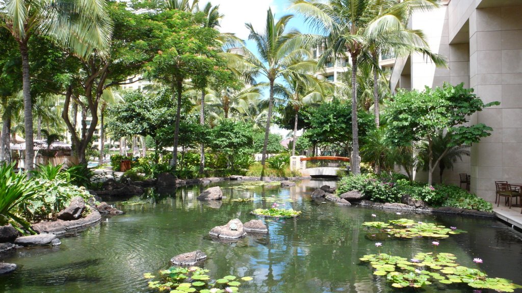 Marriott Ko Olina Beach Club Koi Pond by Scott Sjoberg