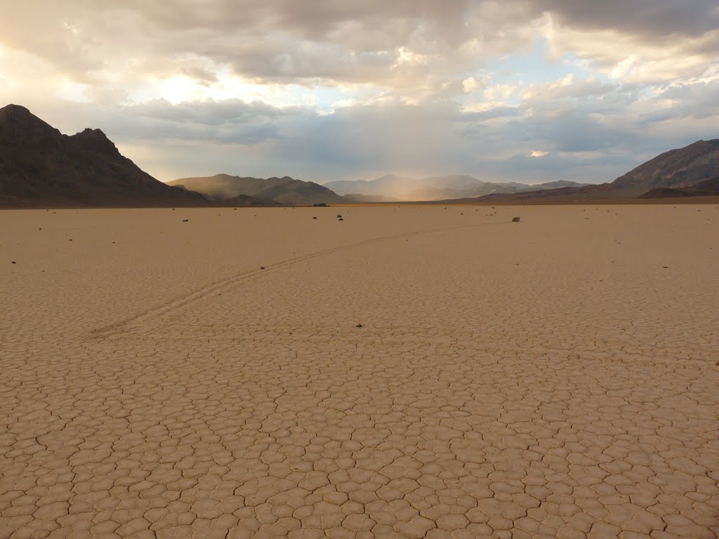 Tracks on the Playa by aviator1