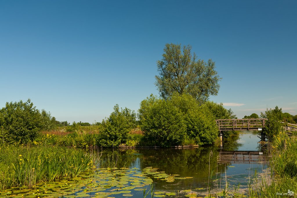 Gagelweg, Wilnis by © BraCom (Bram)