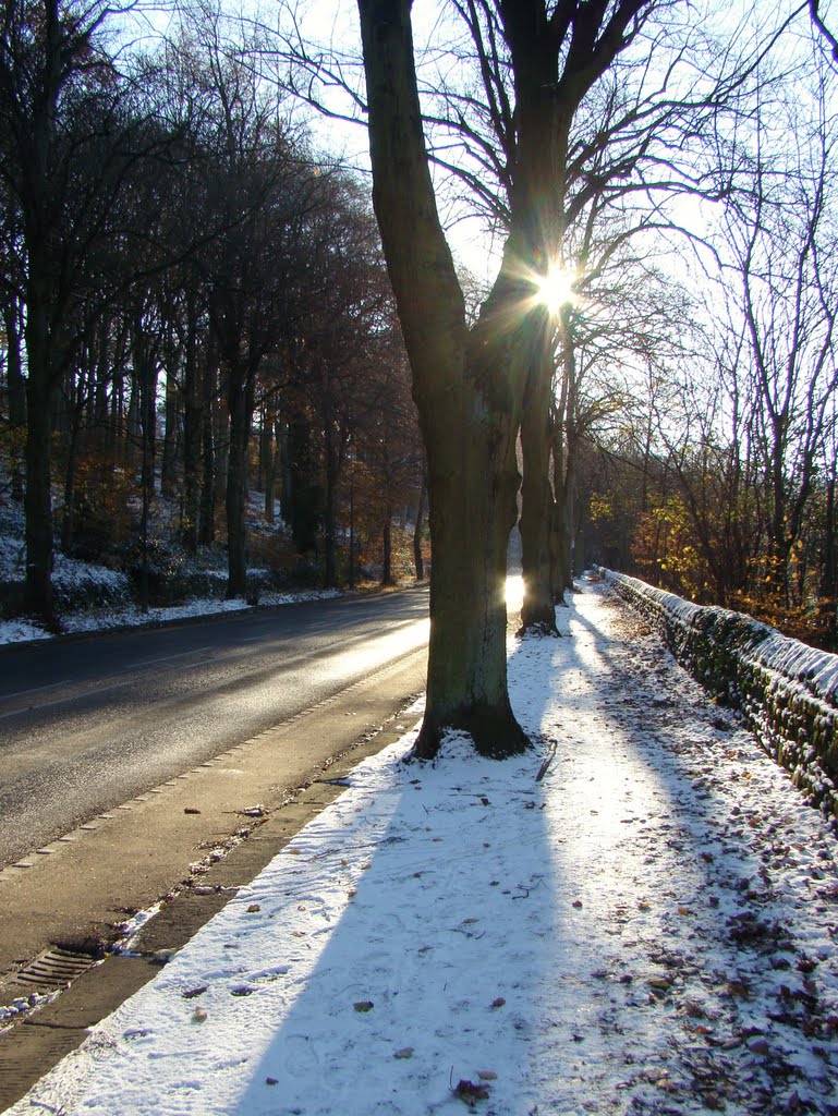 Snowy footpath and low sun through trees on Rivelin Valley Road, Sheffield S6 by sixxsix