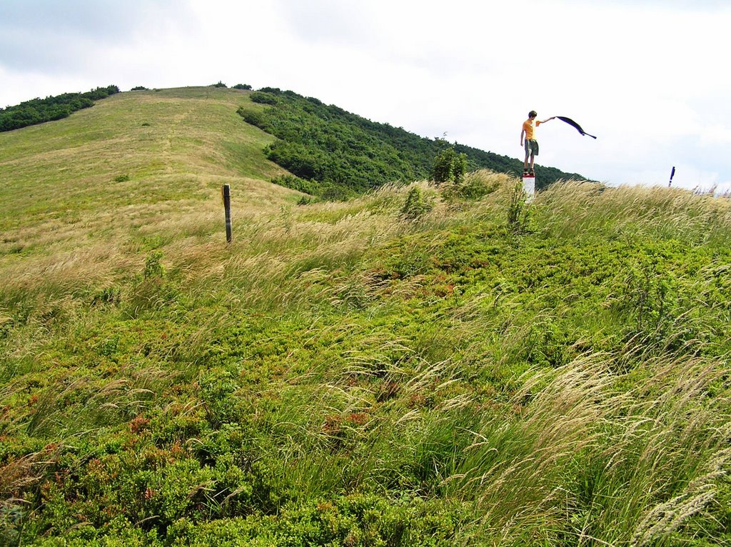 Durkovec/Poloniny (mountain meadows) 1 by Jozef Gonda