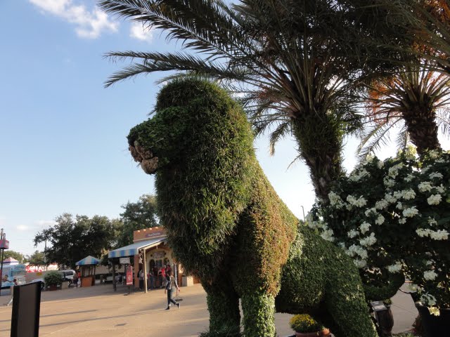 Busch Gardens - outubro de 2010. by Fluzão