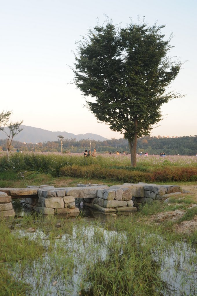 Terrace land on the Hangang of Guri-si - 12 by 윤원진