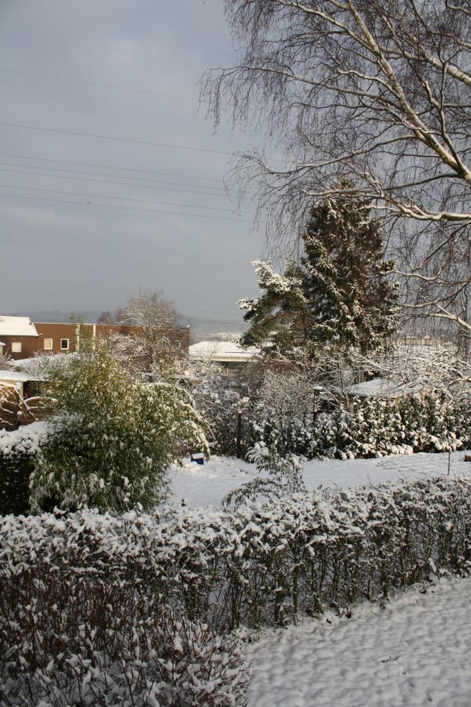 Winter 2010 in Ottenhausen by Günter Kihm