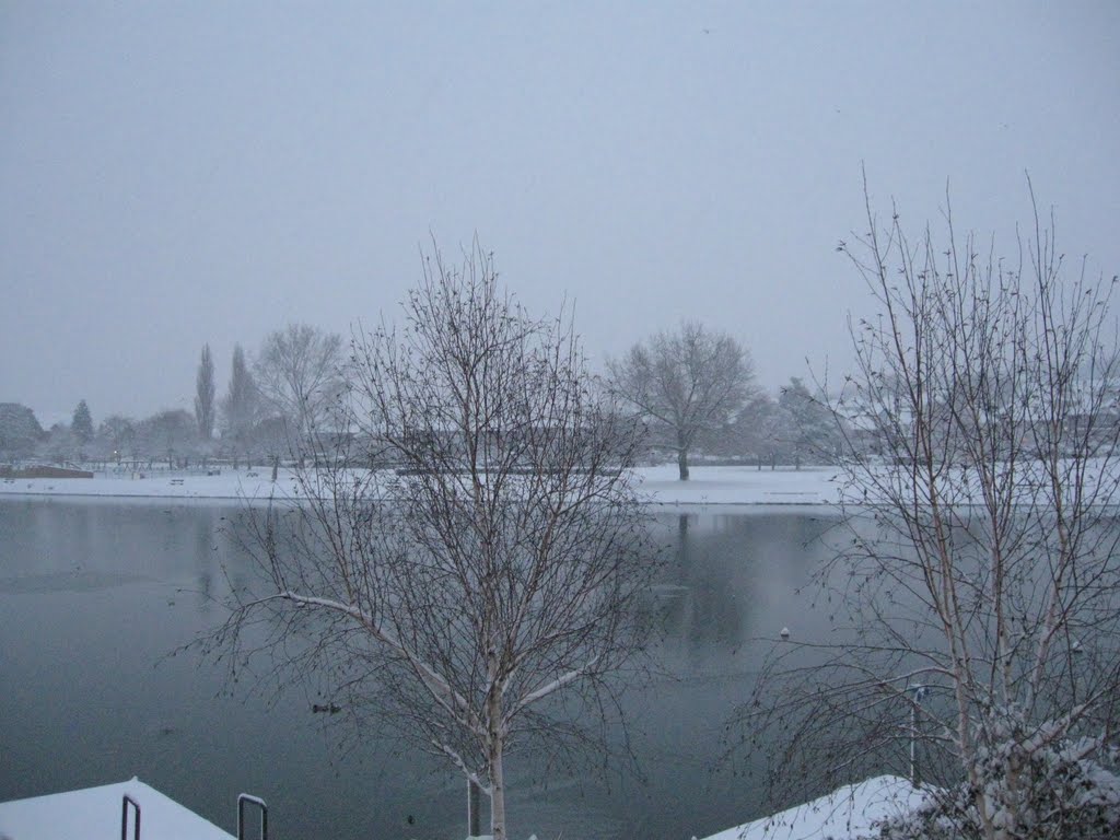 Southampton Water in a snowy day by Mohsen M