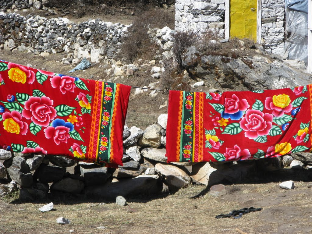 Dingboche by Sergio Zigliotto