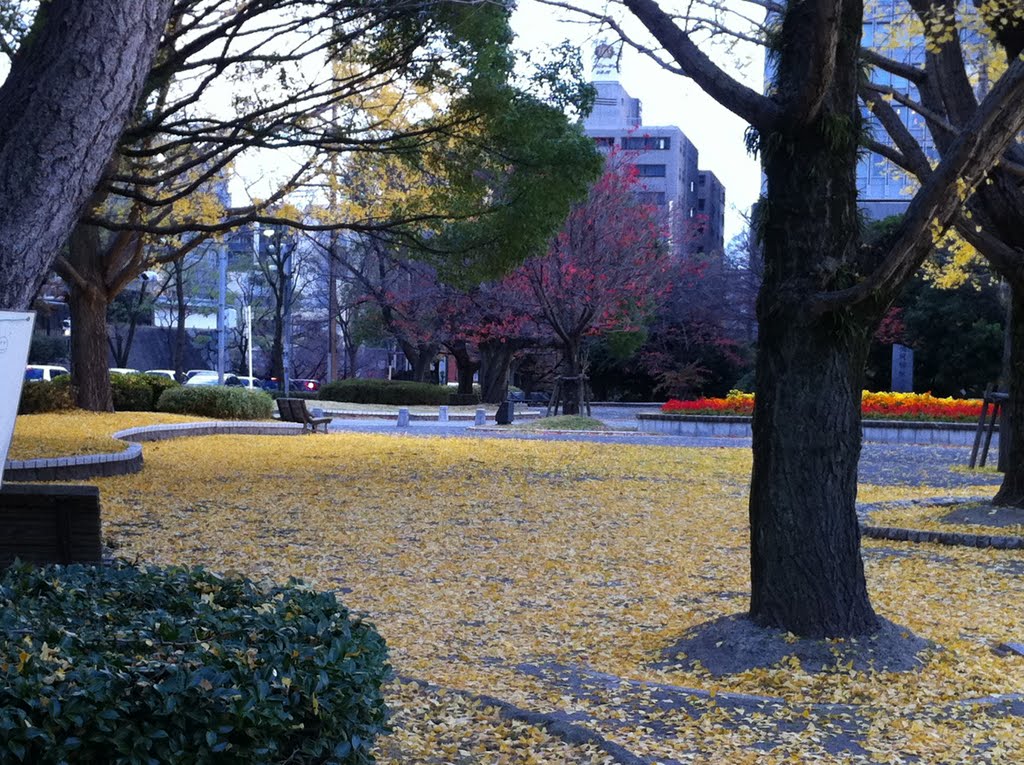 福岡　舞鶴公園　銀杏　Maidenhair tree of maizuru park in Fukuoka,Kyusyu,Japan.2010.Landscape. by 表野豊