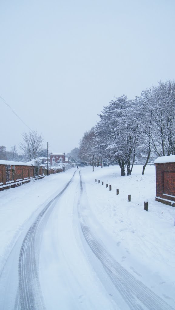 Bidbury Lane in the snow by Andrew N Parker