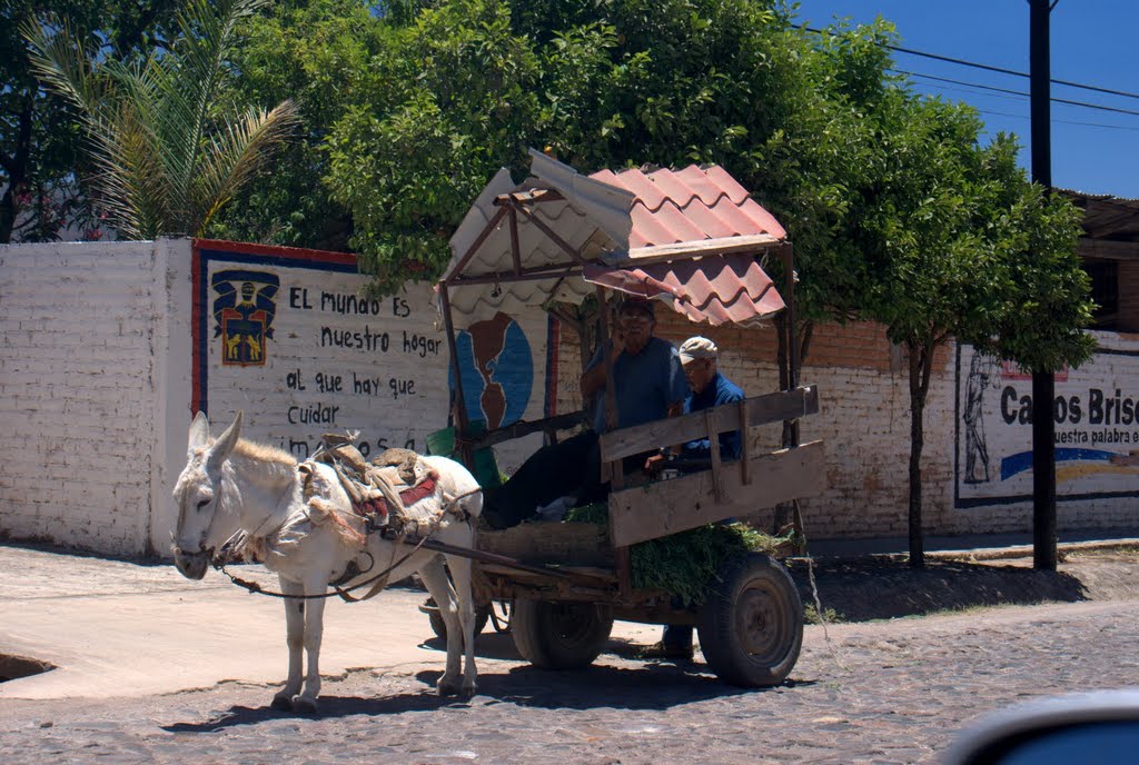 Burro y carro en Mascota. Donkey and cart in Mascota. by Paul Hildebrandt