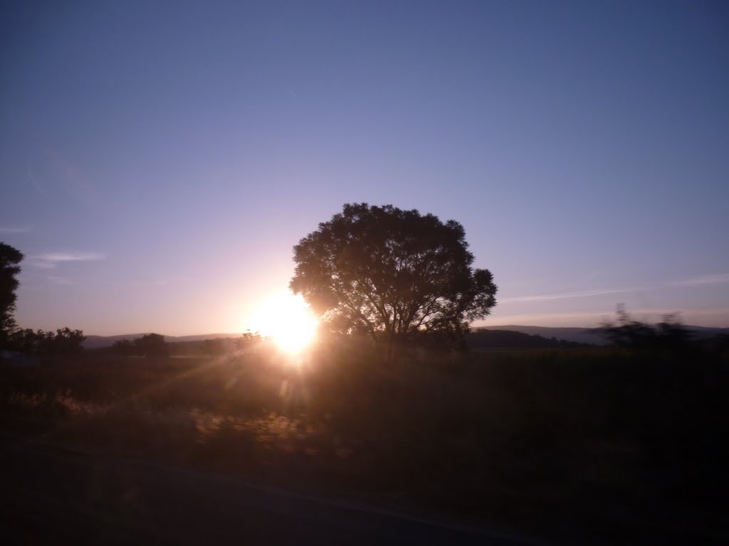 Amanecer Carretera a Tala III by Luis Carlos Flores-Q…