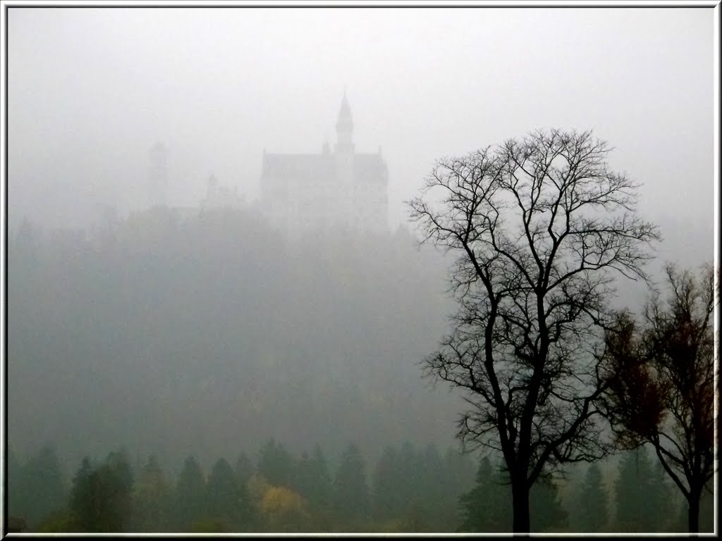 Neuschwanstein im Nebel by ina-maria