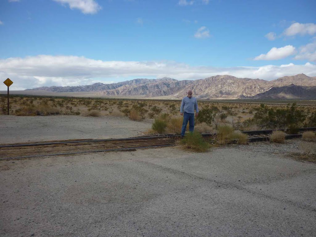 Desert crossing. No bells, no gates, no trains. by Bill Cook