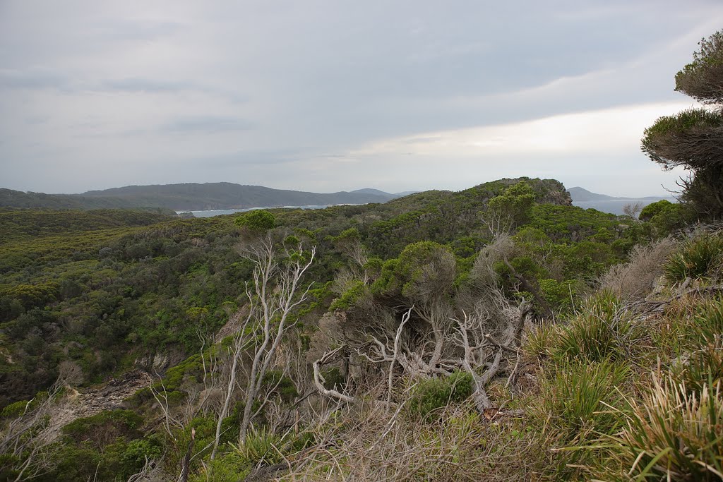 Seal Rocks, partial view on Myall Lake by Hubert Zumbach