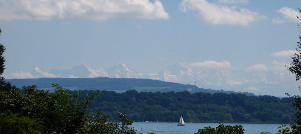 Overlooking the Bielersee with the Alps in the background by bspiesschaert