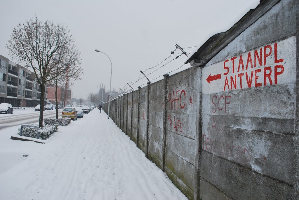 Wall Bosuilstadion - R Antwerp FC by Hans Van Deuren