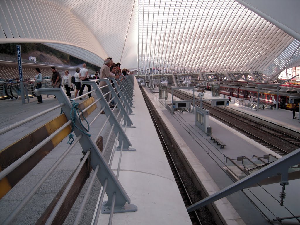 NG154 - Gare des Guillemins - Liège by AngeloMussoBe