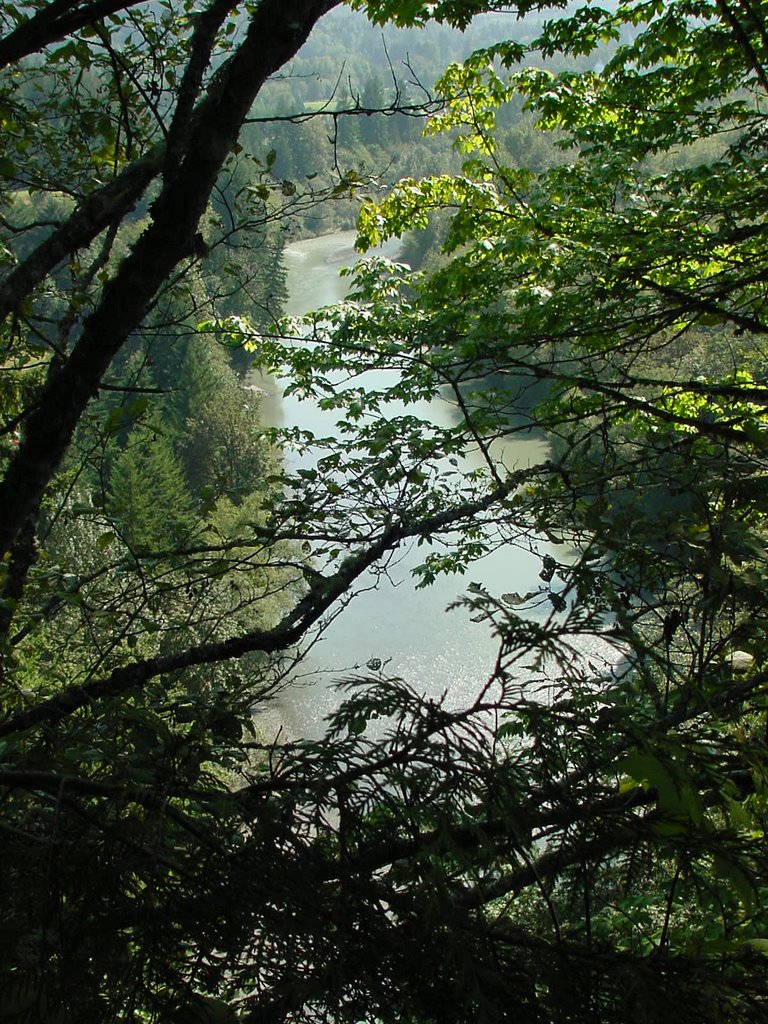 South Branch Stilliguamish River from west side by VKeith