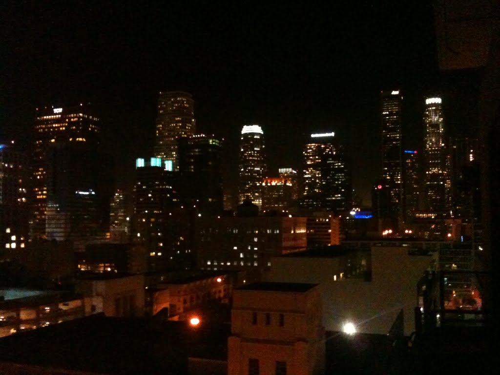 Downtown Los Angeles at night by Adam Michael Campos