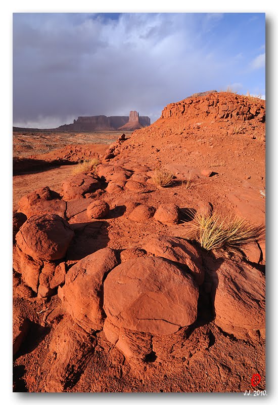 Navajo County, AZ, USA by Jonathan Zhang