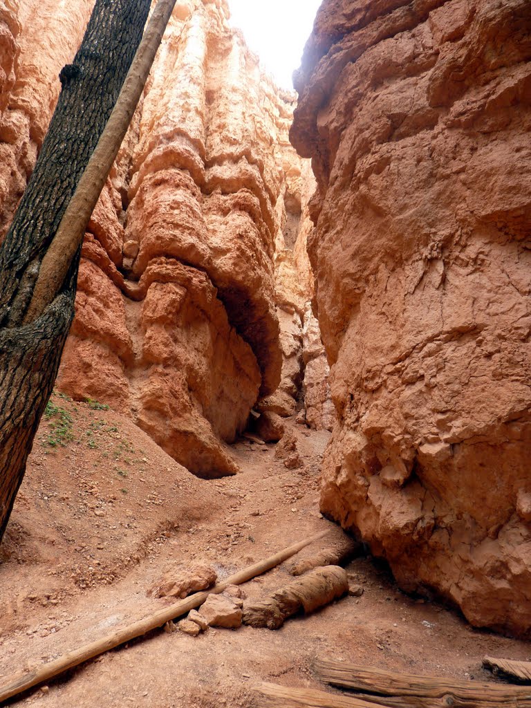 Walking through Bryce Canyon by Spiritualized Kaos