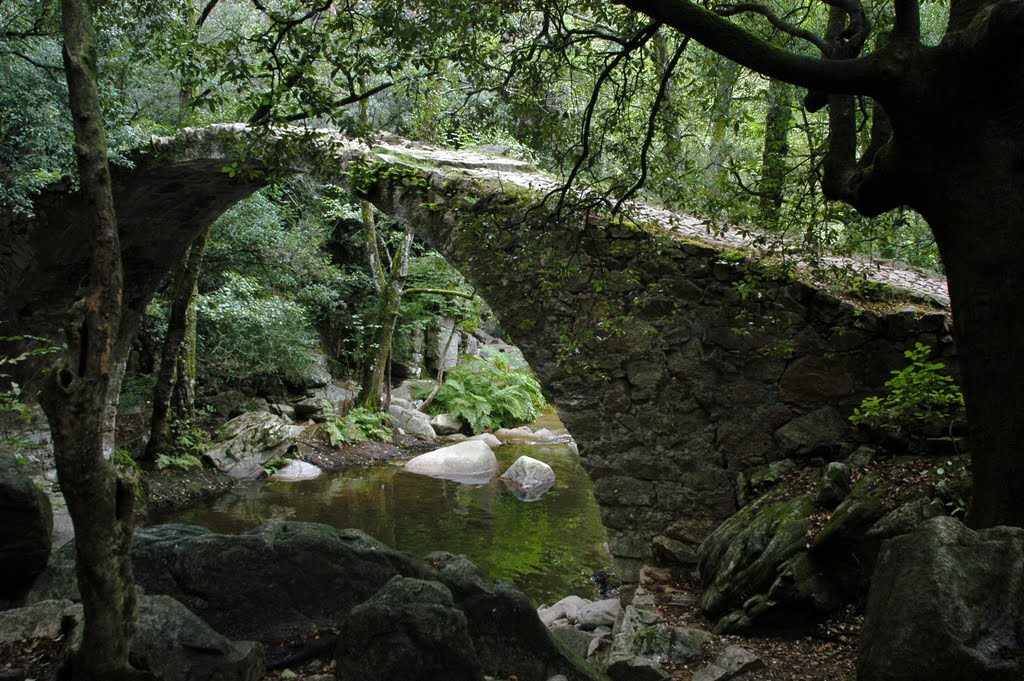 Pont génois de Zaglia by ouatom56