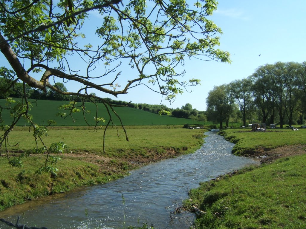 La rivière La Course à PARENTY by joel.herbez