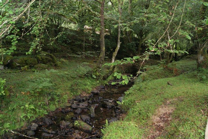 Bosque de la Cubilla - Cantabria ( España ) by Nagore Martín